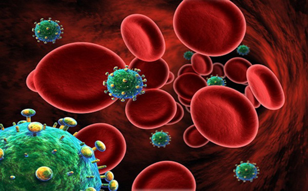 Phát hiện virus HIV ẩn náu trong tế bào miễn dịch của não người