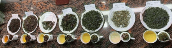Xây dựng cơ sở dữ liệu đánh giá và xác định nguồn gốc trà Việt Nam