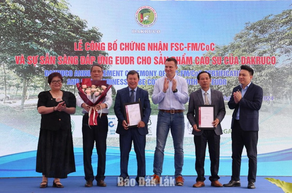 Doanh nghiệp đầu tiên ở Đắk Lắk đạt Chứng nhận FSC-FM/CoC cho sản phẩm cao su