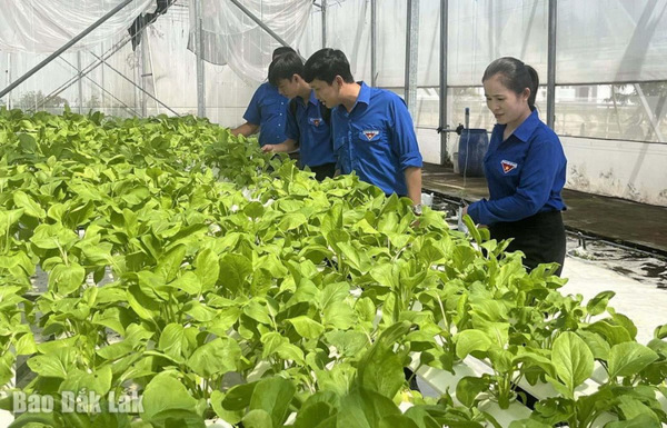 Nông nghiệp công nghệ cao - con đường tất yếu