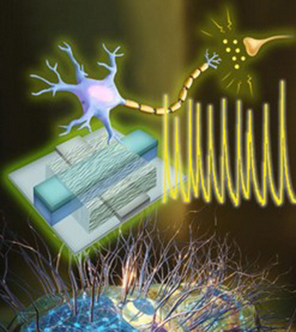 Đột phá tế bào thần kinh nhân tạo: cầu nối giữa điện tử và sinh học