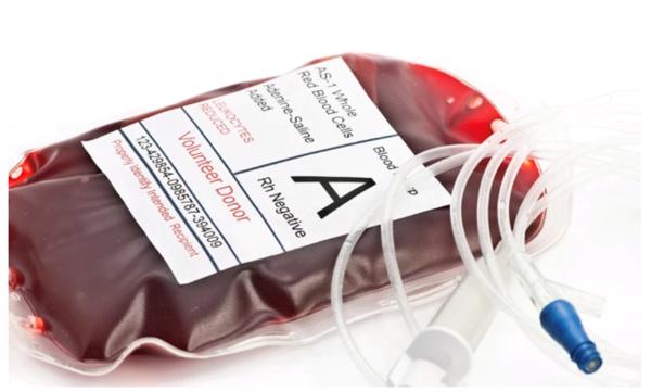 Lần đầu biến đổi nhóm máu của quả thận cấy ghép