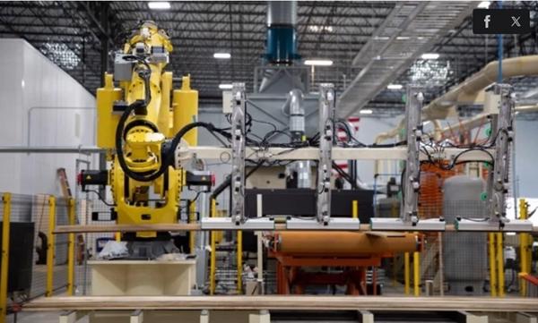 Siêu gỗ cứng gấp 10 lần thép