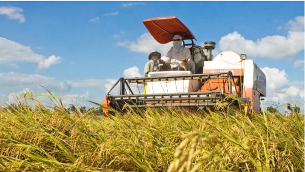 Chính thức: Hộ kinh doanh nông nghiệp có thể vay tối đa 500 triệu đồng không cần tài sản đảm bảo, hợp tác xã có thể vay tới 5 tỷ đồng