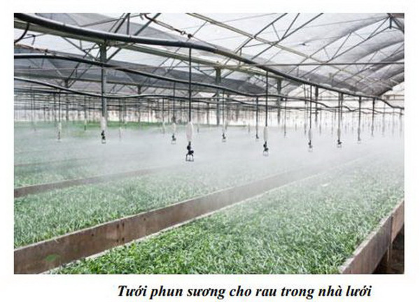 Nghiên cứu giải pháp khoa học công nghệ thủy lợi nông lâm kết hợp nhằm cải tạo và khai thác đất cát ven biển phục vụ sản xuất nông nghiệp bền vững