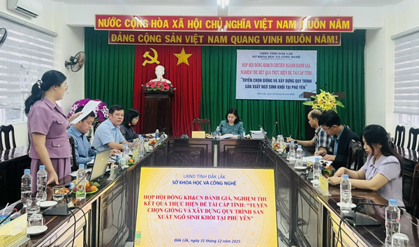 Nghiệm thu đề tài khoa học về phát triển ngô sinh khối phục vụ chăn nuôi