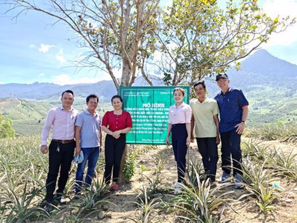 Kiểm tra tiến độ thực hiện đề tài “Xây dựng nhãn hiệu tập thể Dứa Cư Drăm, huyện Krông Bông, tỉnh Đắk Lắk”