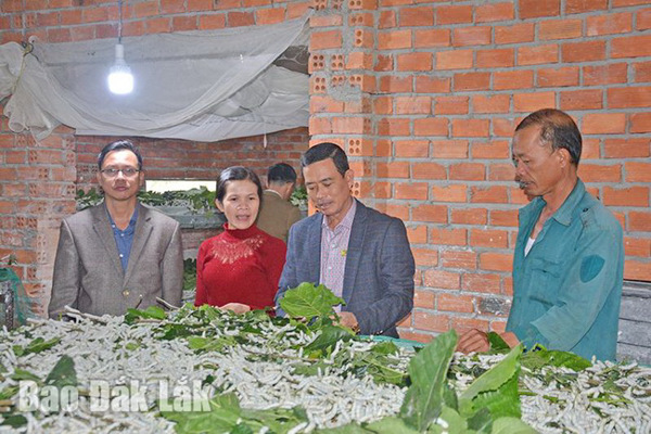Huyện Krông Bông: Tạo sức hút đầu tư cho ngành nông nghiệp