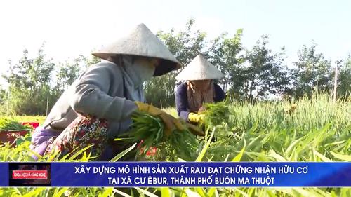 Số 01/2023 - Xây dựng mô hình sản xuất rau đạt chứng nhận hữu cơ tại xã Cư Êbua, thành phố Buôn Ma Thuột