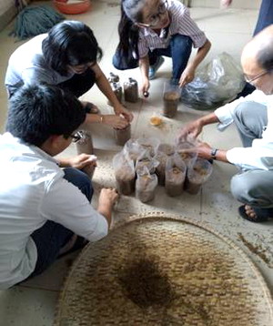Trao đổi kinh nghiệm sản xuất nấm tại Công ty