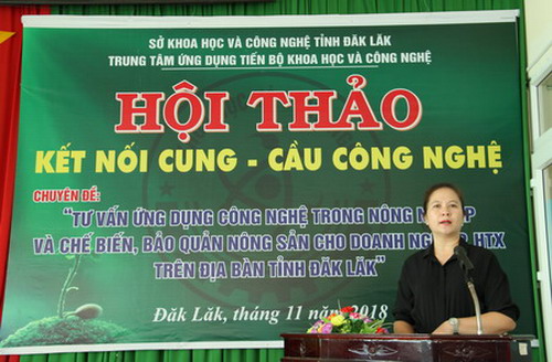 Bà Lê Thị Kim Oanh – PGĐ Sở KH&CN phát biểu khai mạc Hội thảo