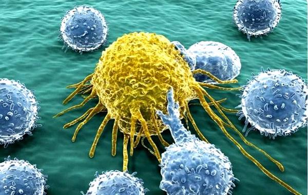 Phát hiện cơ chế khiến tế bào ung thư lây lan
