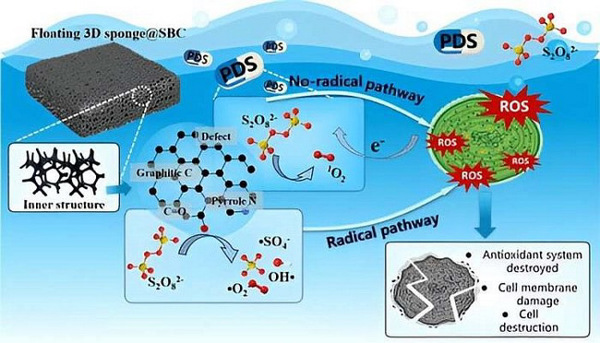 Xốp nổi xử lý tảo nở hoa gây hại