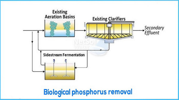 Xử lý phốt pho: phương pháp tối ưu loại nước thải trước khi xả ra môi trường