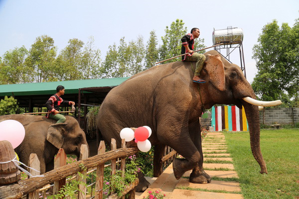 Chung tay bảo tồn