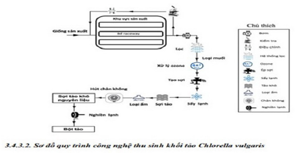 Nghiên cứu công nghệ sản xuất sản phẩm giàu chất chống oxy hóa từ 3 loài vi tảo Chlorella vulgaris, Arthrospira platensis và Dunaliella salina