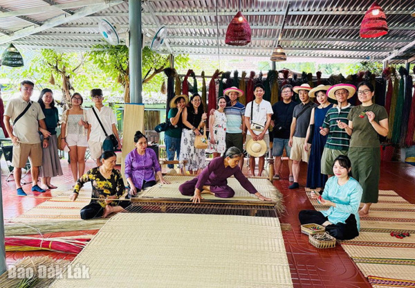 Hợp tác xã trẻ cần trợ lực để tiếp tục hành trình khởi nghiệp