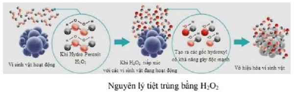 Thiết kế chế tạo thiết bị Plasma lạnh sử dụng H2O2 để tiệt trùng dụng cụ y tế