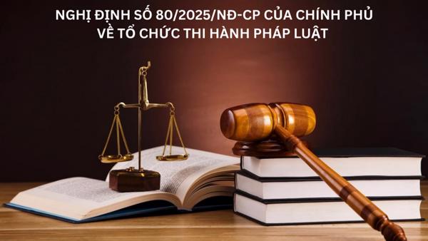 Nghị định quy định về tổ chức thi hành văn bản quy phạm pháp luật