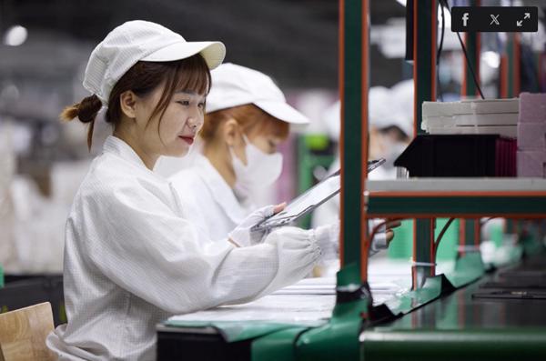 Apple nêu những thiết bị đang sản xuất, lắp ráp tại Việt Nam