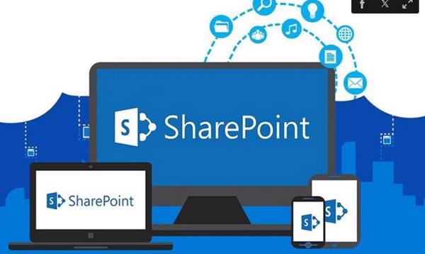 Microsoft SharePoint bị tấn công, ảnh hưởng 100 tổ chức