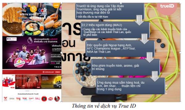 Nghiên cứu các giải pháp quản lý nội dung dịch vụ truyền hình trả tiền theo yêu cầu (VoD) trên mạng Internet