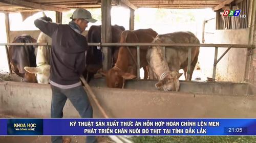 Số 06/2025: Kỹ thuật sản xuất thức ăn hỗn hợp hoàn chỉnh lên men phát triển chăn nuôi bò thịt tại tỉnh Đắk Lắk