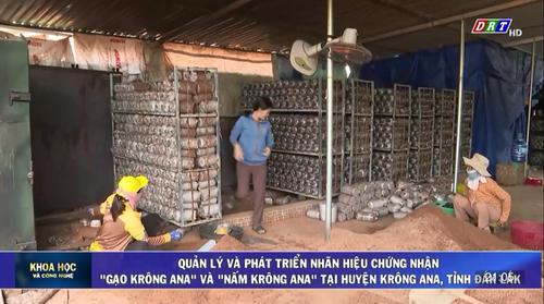 Số 09-2024: Quản lý và phát triển nhãn hiệu chứng nhận "Gạo Krông Ana" và "Nấm Krông Ana" tại huyện Krông Ana, tỉnh Đắk Lắk