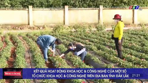 Số 11-2022: Kết quả hoạt động khoa học và công nghệ của một số tổ chức KH&CN trên địa bàn tỉnh Đắk Lắk