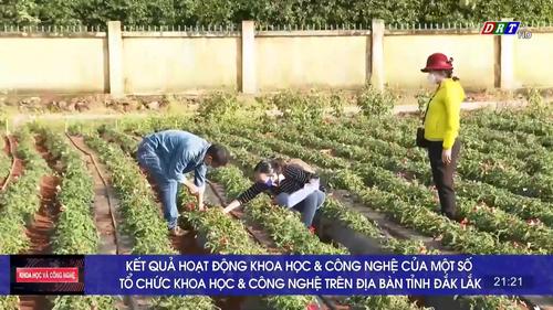 Số 11-2022: Kết quả hoạt động khoa học và công nghệ của một số tổ chức KH&CN trên địa bàn tỉnh Đắk Lắk