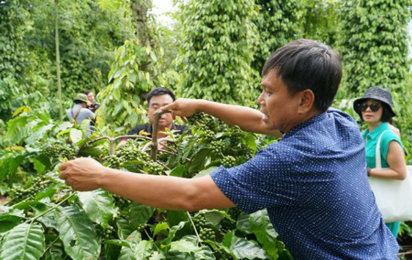 Huy động nguồn lực đầu tư ngoài ngân sách để đưa Đắk Lắk phát triển