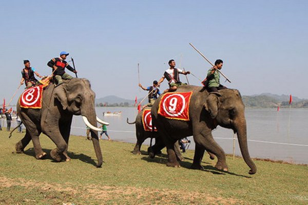 Hấp dẫn các tour du lịch Lễ hội Cà phê