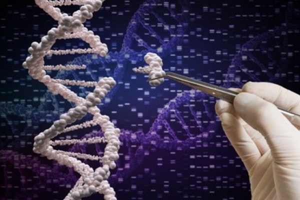 Công cụ mới biến CRISPR thành "Con dao của quân đội Thụy Sĩ"