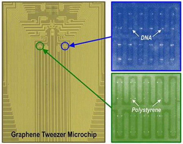 "Bẫy" phân tử DNA bằng chiếc nhíp siêu nhạy làm từ graphene