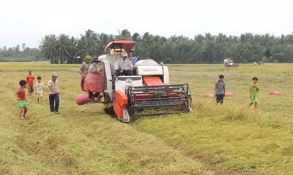 Bản đồ công nghệ nâng cao vị thế ngành lúa gạo Việt Nam