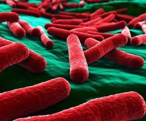 Vật liệu mới tiêu diệt vi khuẩn E. coli trong 30 giây