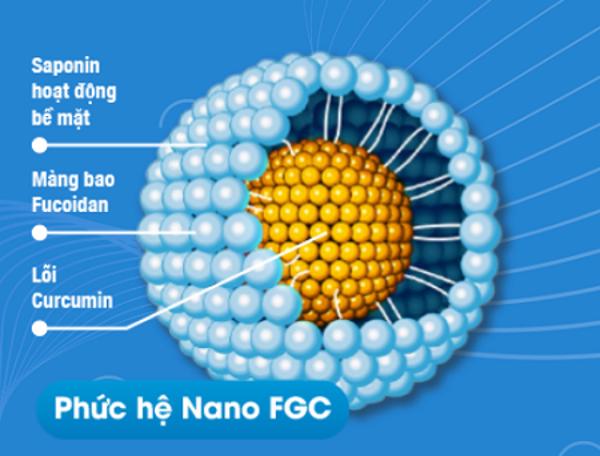 Phức hệ nano FGC: Từ bài thuốc cổ truyền đến chất dẫn điều trị ung thư