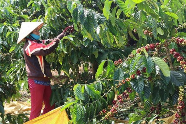 Nghiên cứu thiết kế chế tạo và thử nghiệm Hệ thống phòng vệ đoàn tàu tự động kiểu điểm (I-ATP) nâng cao an toàn và năng lực vận tải đường sắt Việt Nam