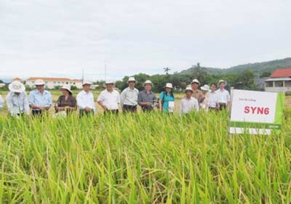 Khánh thành trung tâm lúa lai hiện đại đầu tiên của Việt Nam