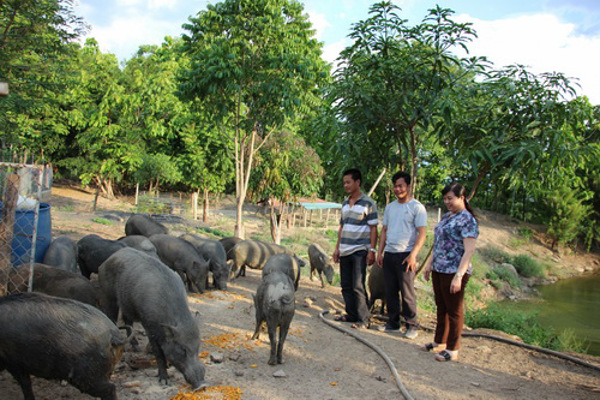 Đưa sản phẩm vùng biên vươn xa