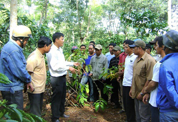 Tập trung phát triển nguồn nhân lực tỉnh đáp ứng yêu cầu hội nhập quốc tế