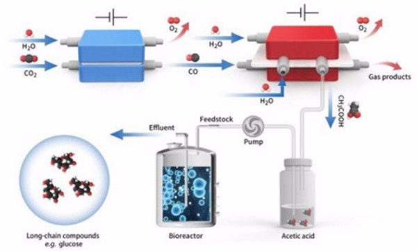 Tiềm năng tổng hợp thuốc và thức ăn nhân tạo từ CO2