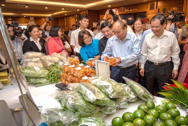 Ưu tiên nguồn lực cho nông nghiệp Tây Nguyên