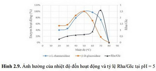 Nghiên cứu chuyển hóa rutin thành isoquercetin bằng vi sinh vật và ứng dụng làm nguyên liệu cho sản xuất thực phẩm chức năng