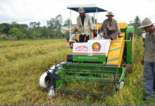 Khẩn trương tổng kết Chương trình KH&CN phục vụ xây dựng nông thôn mới
