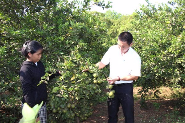 Triển khai, thực hiện Chỉ thị 19 của Thủ tướng Chính phủ về phát động thi đua phát triển kinh tế - xã hội