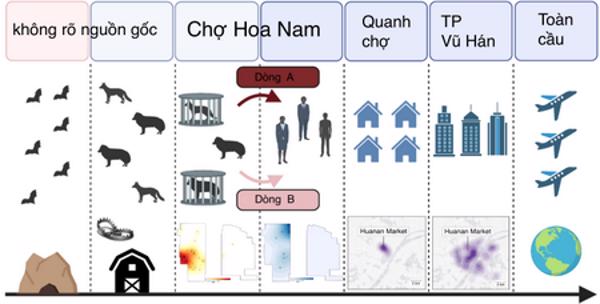 Chợ Hoa Nam, Vũ Hán: Nơi khởi nguồn đại dịch?