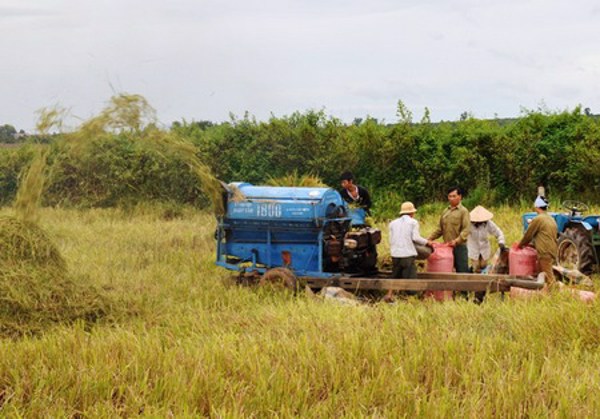 Đắk Lắk được bổ sung gần 20 tỷ đổng bảo vệ và phát triển đất trồng lúa