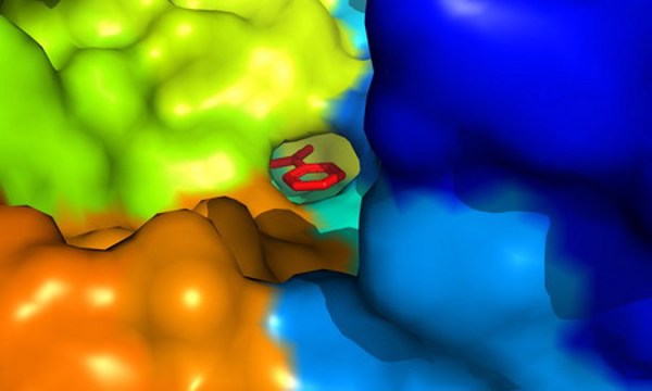 Siêu enzyme mới ăn chai nhựa nhanh hơn sáu lần