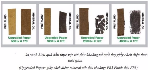 Nghiên cứu hiệu quả tiết kiệm năng lượng trong máy biến áp phân phối trung áp sử dụng dầu có nguồn gốc thực vật